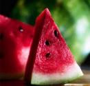 Tips To Identify Rotten Watermelon